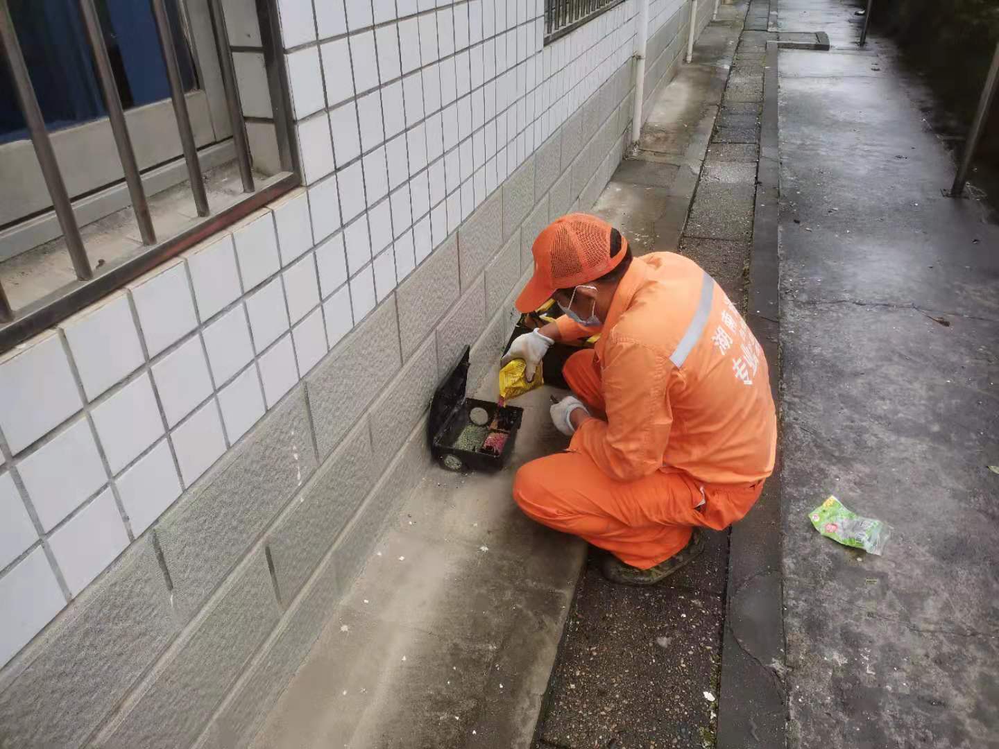 投放防鼠诱饵施工现场