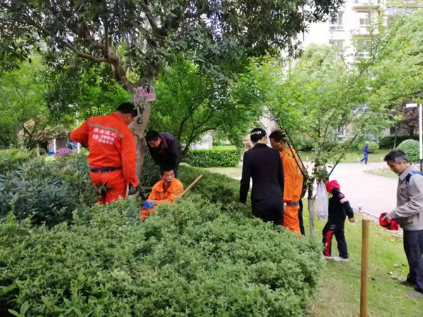 白蚁防治施工现场